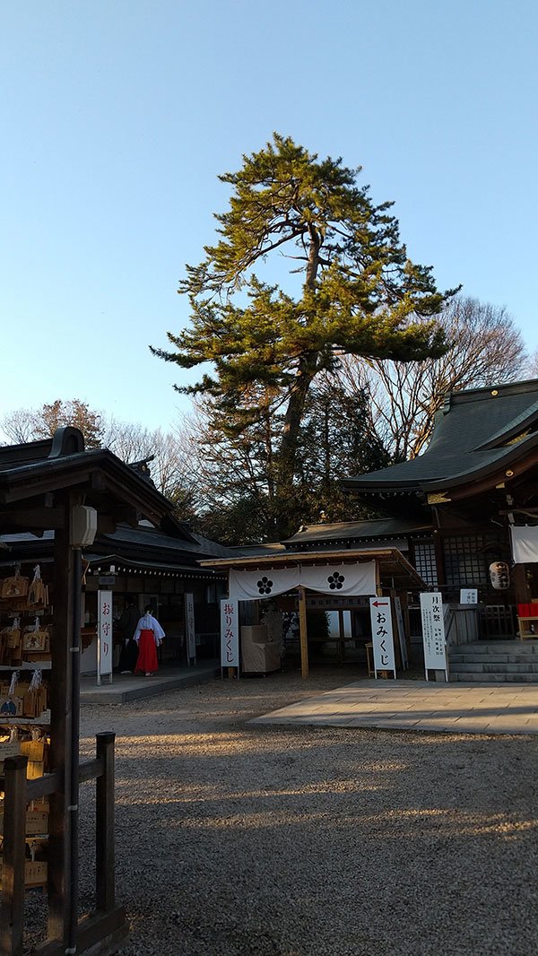 占い師紅舟のお気に入り写真1